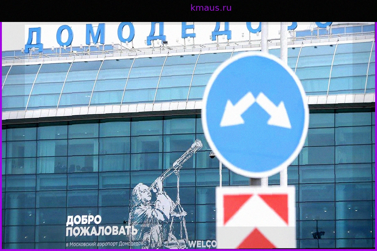 Аэропорты Домодедово и Жуковский возобновили работу: ограничения сняты