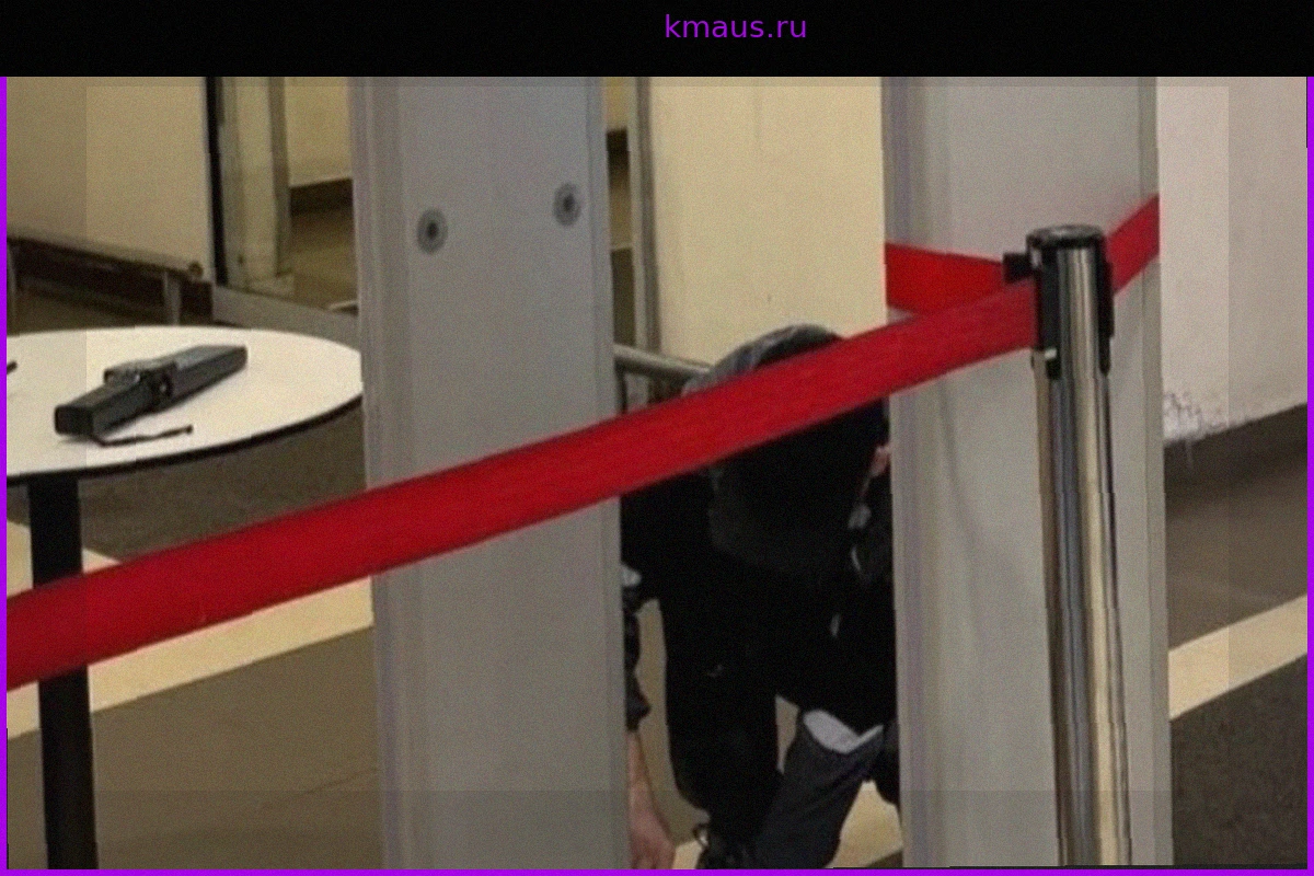 На ребенка в московском ТЦ «Колумбус» упал металлодетектор