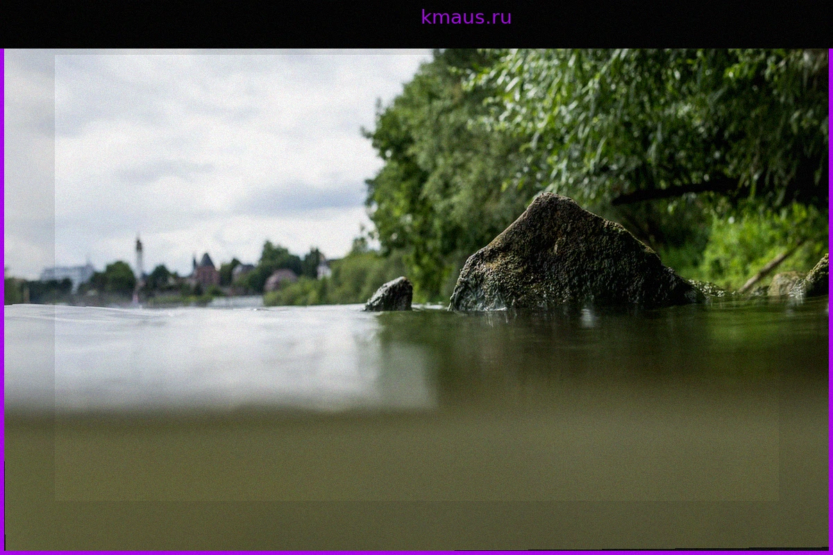 Кампания «Identify Me»: Как «Девушка из Майна» вновь обрела свое имя