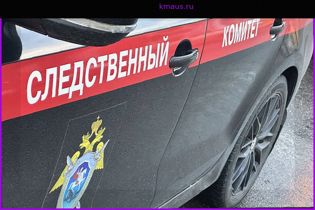 Задержанный по делу о нападении на людей в ТЦ Краснодара признал вину