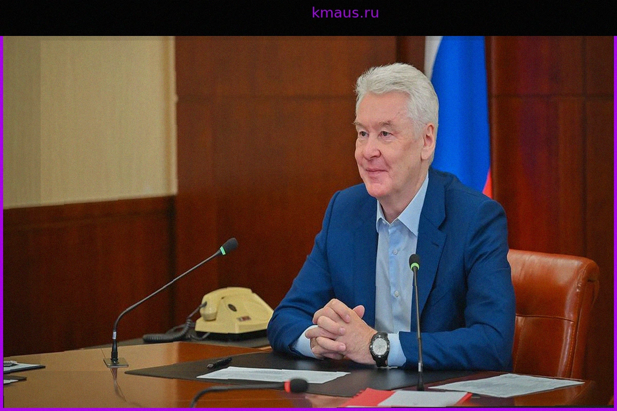 Мэр Собянин выдвинул Андрея Мецлера на должность уполномоченного по правам человека в Москве