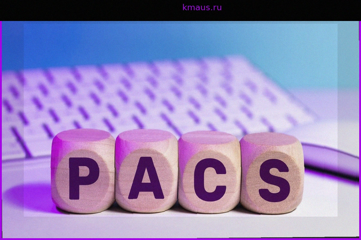 Пенсия по случаю потери кормильца для партнеров по PACS: что говорит правительство?