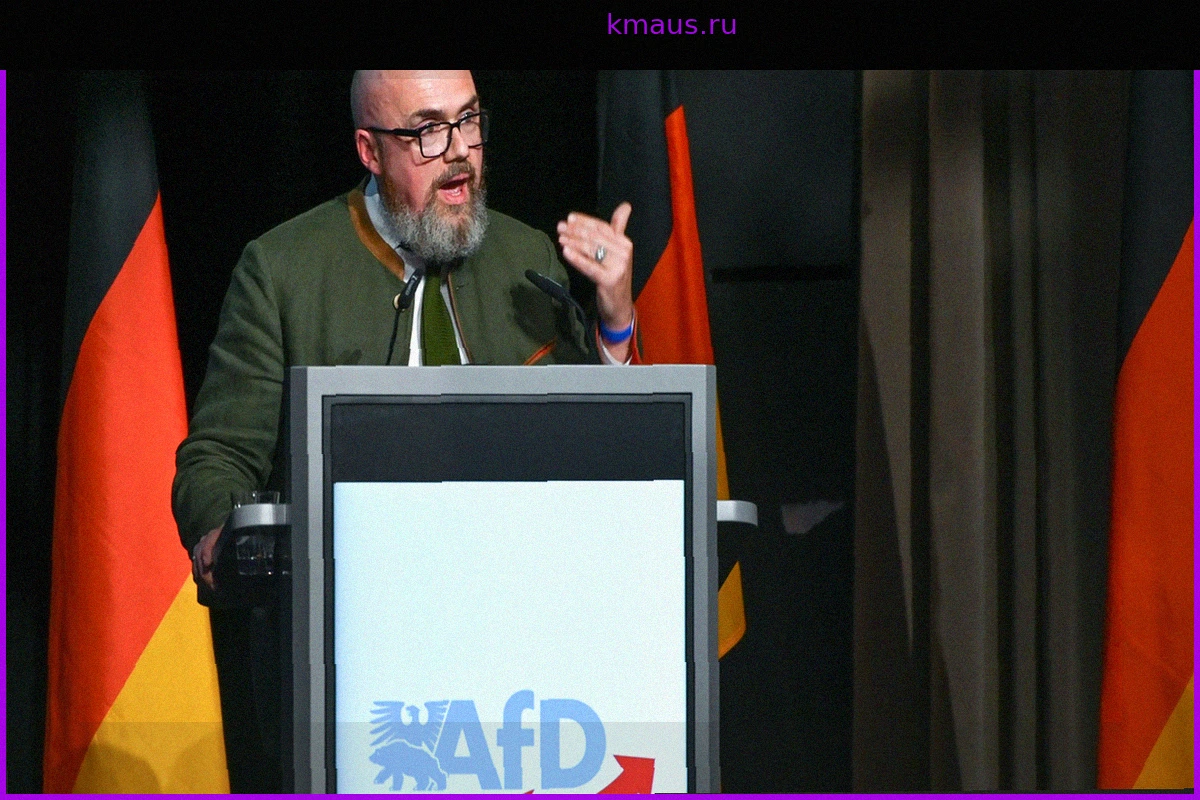 Гендерные и климатические исследования: Как АдГ планирует реформировать университеты