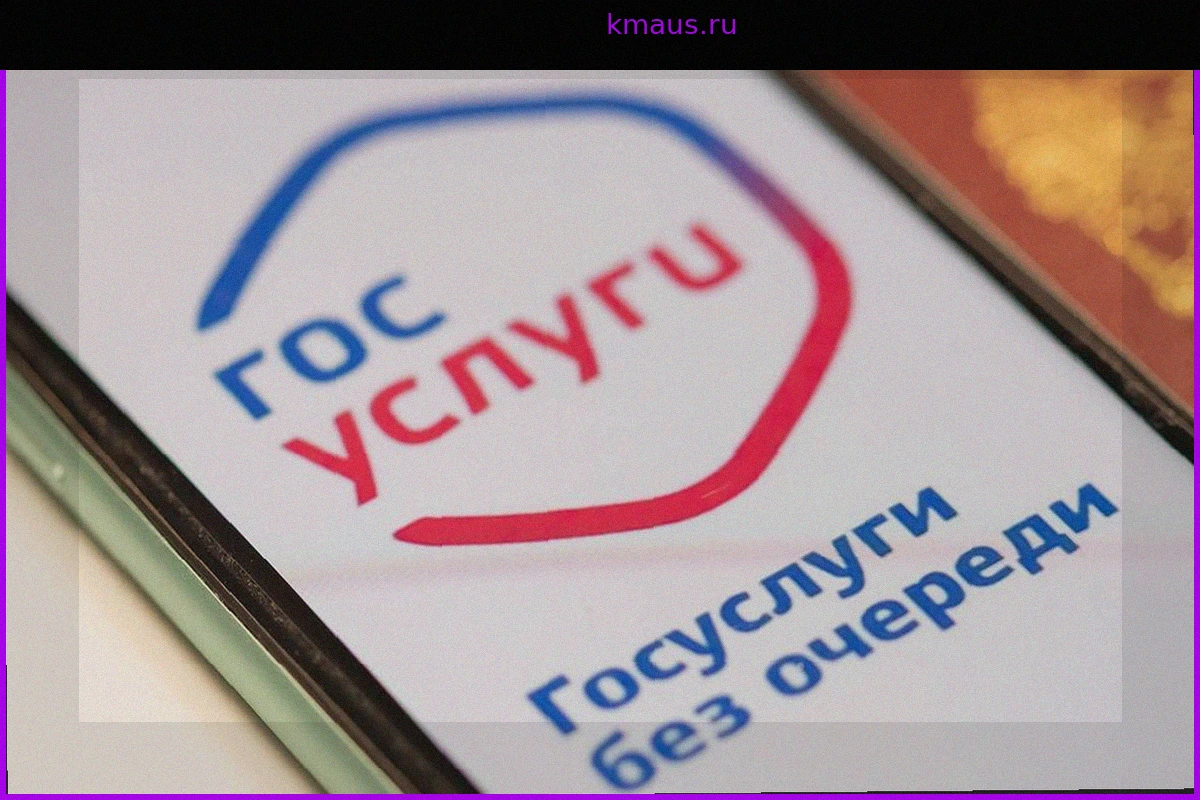 Онлайн-поступление в вузы через «Госуслуги»: старт приёма заявлений