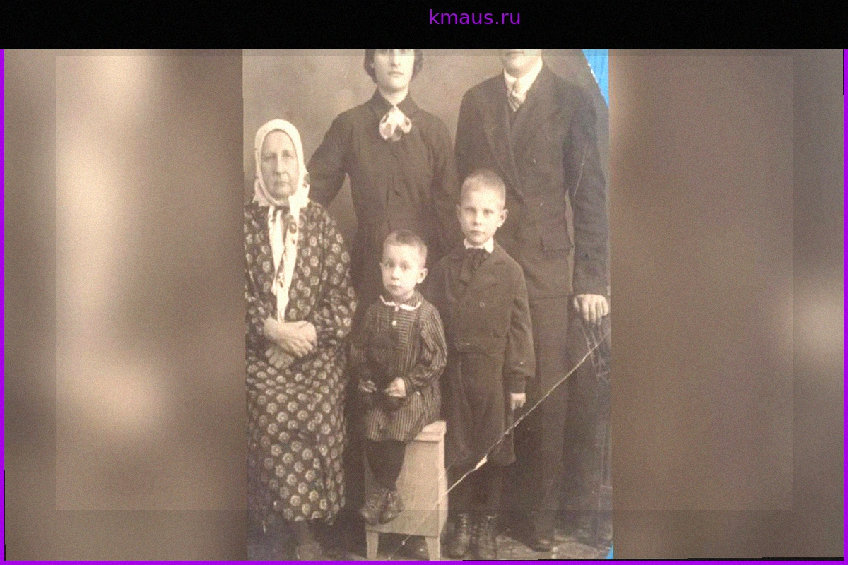 Генеалогия в России: Как найти свои корни и сколько стоит составление родословной