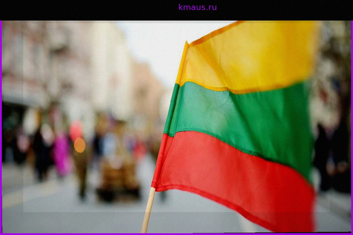 Упавший в Литве беспилотник предварительно признали украинским