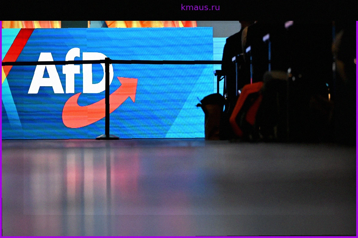 Опрос: AfD опережает партийный блок CDU/CSU на восемь процентных пунктов